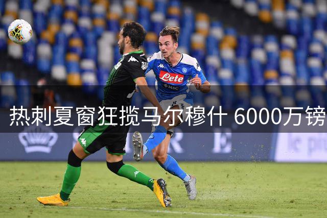 热刺夏窗狂揽马尔穆什 6000万镑先租后买 3.5亿欧元引援